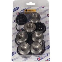 Kit valvole di ritegno Pa330/430 A/M BERTOLINI 039850973