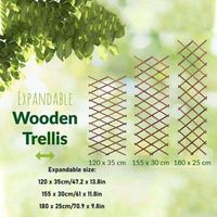 NALOOKAMIC Focket Clôture en Treillis, étendue à 120 x 35cm, 155 x 30cm, 180 x 25cm, Mur en Treillis en Bois, Treillis Extensible en pin pour Plantes grimpantes, vignes et Fleurs pour la pièce A
