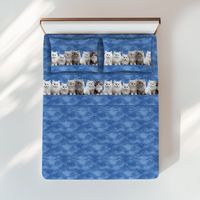 Ensemble de draps chatons bleus - Imprimé réaliste Chats mignons - 100 % coton - Fabriqué en Italie, lavable 1 PLACE