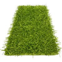 Tappeto Shaggy Verde Moderno - Pelo Lungo 6 cm - Antiscivolo, 12 Misure - Annodato a Mano, Morbido e Resistente Cm. 140x200