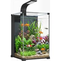 Aquarium Komplettset 36L Nano Aquarium mit LED-Beleuchtung Filtersystem Pumpe Zirkulation 30 x 30 x 45,5 cm Schwarz