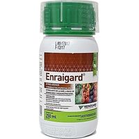 Stimulant Kenogard de la Ra†z Ra†z, conteneur 250 ml