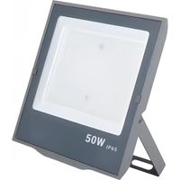 Projecteur Extérieur GRIS 50W IP65 - Blanc Froid 6000K - 8000K - SILAMP