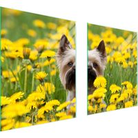 PIASTRA PROTETTIVA IN VETRO PER STUFA 85x52 CANE