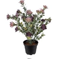 Succulente fleurie factice en pot cactée Violet H30cm D25cm plastique