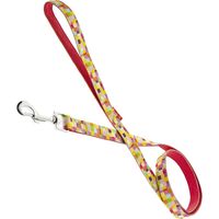 Epaisseur du plomb 1 cm: Laisse pour chien en nylon modèle Pixer Pink
