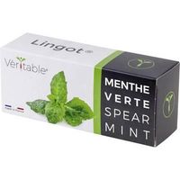 Recarga de menta verde orgánica Veritable 0,2 kg