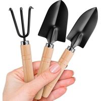 attrezzi da giardinaggio - Set di 3 attrezzi per piante da interno, piccoli attrezzi da giardinaggio per interni, piccola pala da giardino, rastrello