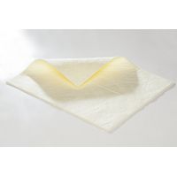 FRANKEL kaiserkraft, Feuille absorbante FIRST, feuilles
