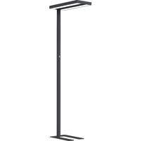 FRANKEL kaiserkraft, Lampe sur pied LED Lara Up & Down,
