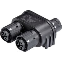 distributore elettrico Wieland rst16i2 v2p1 robusto efficiente