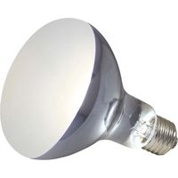 Uv-Lampe Zoomed powersun uv Wärmequelle 100w