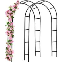 Ulisem1 x Arche de jardin 240 x 140 x 37 cm pour plantes grimpantes, arche à rosiers, piquet, décoration extérieure