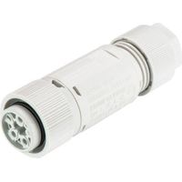 Wieland Electric 46.051.4554.0 Rundstecker Kupplung, gerade Gesamtpolzahl: 3 + PE Serie (Rundsteckve