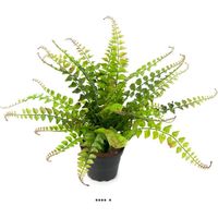 Fougère Blechnum spicant artificielle en pot, H 30 cm, D 35 cm