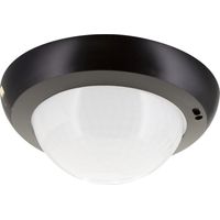 Lentille PD4N Type A - Spéciale Couloir Noir Mat RAL9005 LUXOMAT 93743