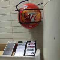 Boule extinctrice automatique 1,3 kg - Extincteur à poudre sèche léger et sécuritaire