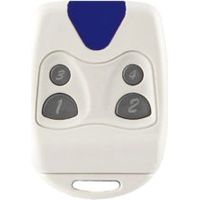 Proget Echo Gate and garage door remote