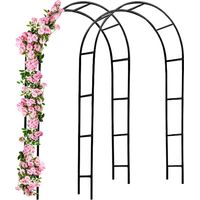 1 x Arche de jardin 240 x 140 x 37 cm pour plantes grimpantes, arche à rosiers, piquet, décoration extérieure