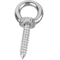 Hebeösenschrauben aus Edelstahl 304, M4, M5, M6, M8, M10, M12, runde Ringhaken, selbstschneidende Holzschrauben, Augenmutter, selbstschneidende Schraube (M4 x 40 mm, 2 Stück)