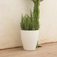 VIOLETA 30 Macetero Redondo y Moderno de Interior y Exterior Para Plantas y Flores Muy Resistente al Paso del Tiempo. Hecho de Polietileno en España - Blanco