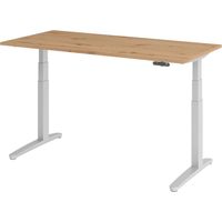 bümö Schreibtisch elektrisch XBHM Rechteck: 160 x 80 cm Asteiche