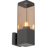 Modern Outdoor Wall Light Dark Grey with Smoke - Malios