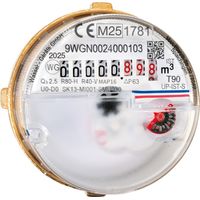 Wasserzähler Messkapsel ABB, Elster, Andrae, Kundo M65x2 MID Q3 2,5 Qn 1,5 inklusive Eichung