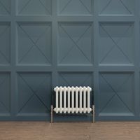 Biubiubath Traditional Cast Iron Radiator 300x425mm 2 Column White