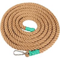 Kletterseil mit Karabiner, Power-Training-Seil – Seil für Muskeltraining, Krafttraining – 30 mm, 3 m – Fei Yu