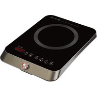 RGV TURBO 2000 Piastra a induzione 1 zona 2000W touch control timer LCD display colore Nero