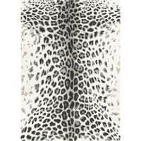 Tapis salon et chambre 120x170 noir et blanc rectangle tissé motif animaux BELLA 5