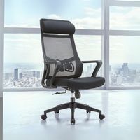 Bürostuhl Pasco mit hohem, verstellbarem Netzrücken in Schwarz
