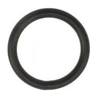 O-Ring für Entleerschraube für Speck BADU 90