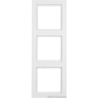 Plaque de finition Berker q.3 fixation par pince finition velours