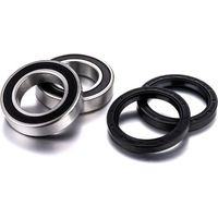 CUSCINETTI RUOTA POSTERIORE FACTORY LINKS 2025/02 CON GUARNIZIONI ARCTIC CAT DVX 250 '06-'08, DVX 300 '09-'15, KYMCO MAXXER 250 '04-'18, KXR 250 '03-'06, MXU / MONGOOSE 250 '04-'08, MONGOOSE 300 '05-'