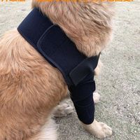 Coudière Pour Chien Pour Épaules, Pattes Avant, Luxations, Escarres, Blessures, Arthrite, Perte De Stabilité (L)