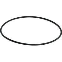 O-ring di diametro 98 mm per WEDI FUNDO PRIMO