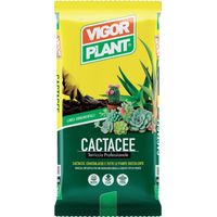 Terriccio Cactacee 5 litri Vigorplant