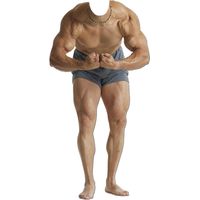 Figurine en carton Muscle Man 180 cm