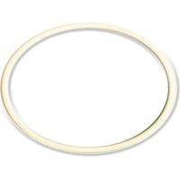 Guarnizione per filtro depuratore seagull ricambio originale its todini 10.54
