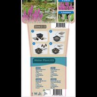 Kit de plantes d'étang - Plantes parfumées