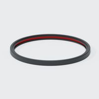 PO Doppellippendichtring DN 315