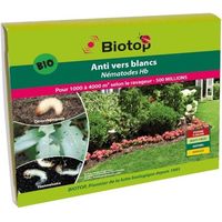 Nématodes HB anti vers blancs 500M - 1 000m²