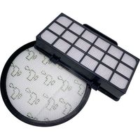 Filtros HEPA para aspiradoras Rowenta X-Trem Power Cyclonic RO6984EA RO6941EA RO6963EA RO6921EA RO6971EA RO6993EA (modelo RO69XX), accesorios de repuesto ZR006001 (paquete de 2)