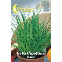 SEMI ORTO ERBA CIPOLLINA- HORTUS SEMENTI- 10,0 pz