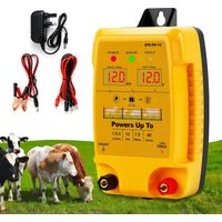 Dispositif de clôture électrique 12 V avec affichage LED, portée 12 km, 2 Joules, 12 kV, pour la protection des animaux de ferme, de la volaille, des pâturages et des jardins (C)