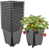 Garronda x20 Pots de Pépinière Carrés Plastique 19,5 x H 19 cm (5L) - Pot Hydroponique Fraisier Framboise Pot Semis avec Drainage Pot de Fleur Culture Serre Jardin Intérieur Extérieur GD-0206 Noir