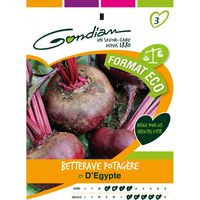 Gondian - Betterave Potagère D'égypte format eco