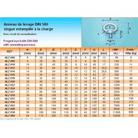 ANNEAU DE LEVAGE ZINGUÉ ESTAMPILLÉ MALE Ø20MM- ALZ020